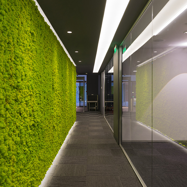 Mosswall - Image 12